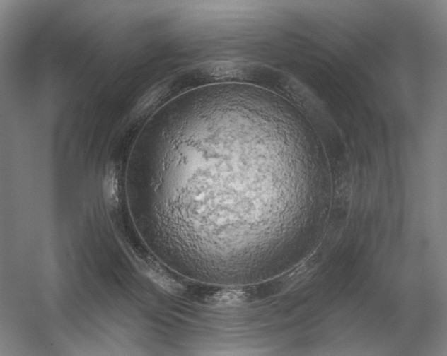 X0000058800124200509301217