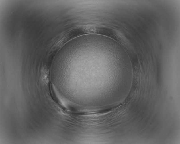 X0000058800125200509301217