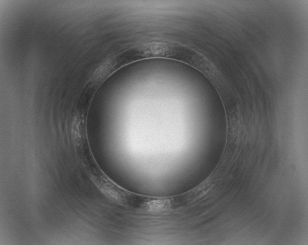 X0000058800126200509301217