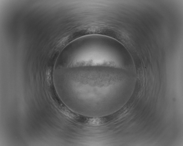 X0000058800127200509301217