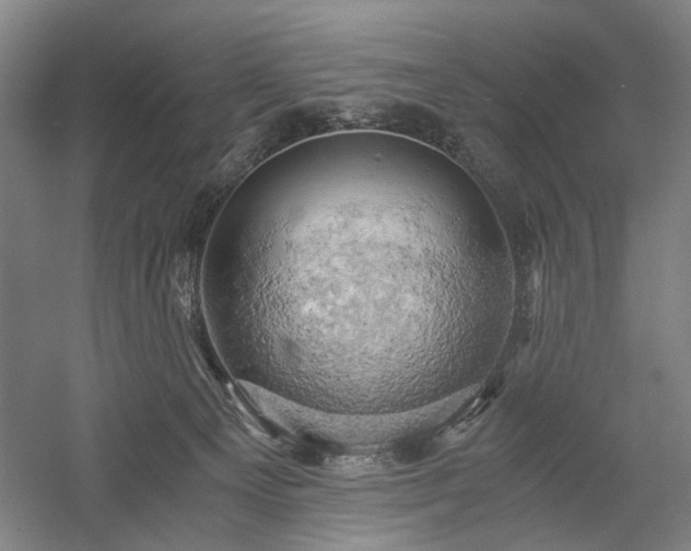 X0000058800129200509301217
