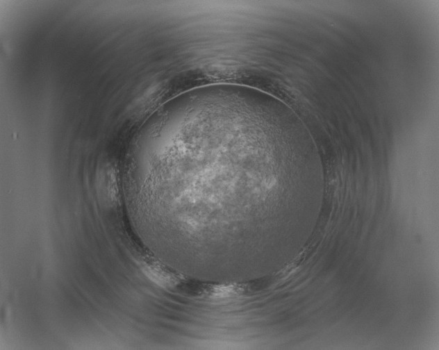 X0000058800130200509301217