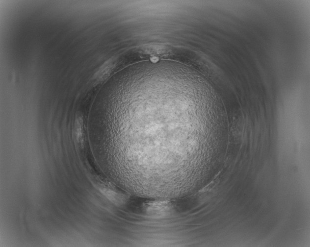 X0000058800132200509301217