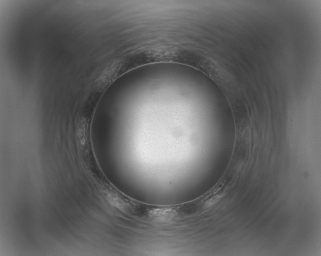 X0000058800133200509301217