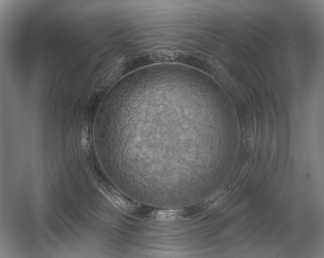 X0000058800134200509301217