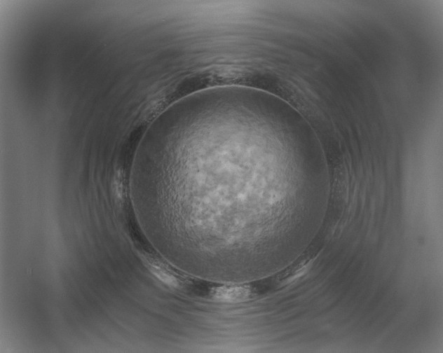 X0000058800135200509301217