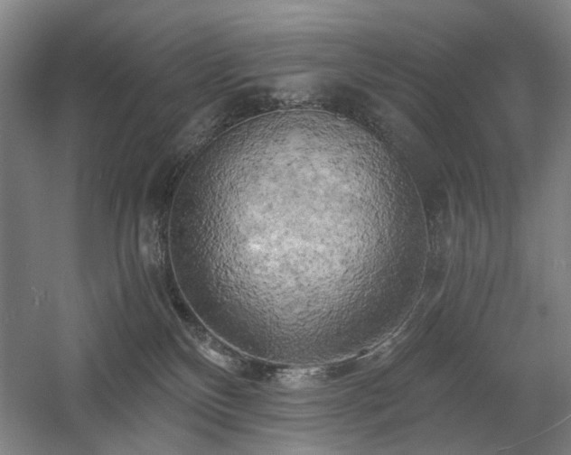 X0000058800136200509301217