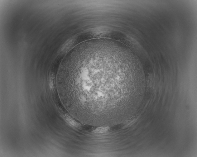 X0000058800138200509301217