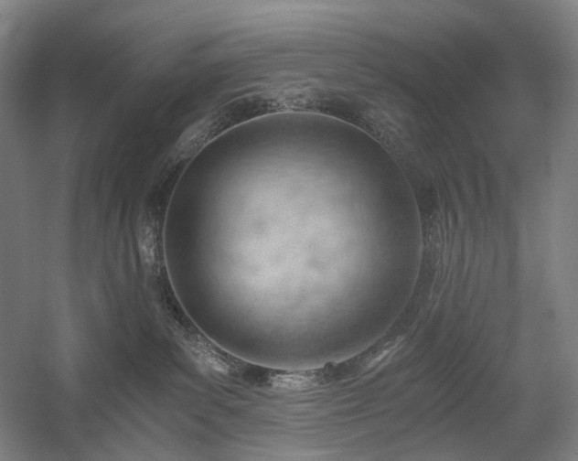 X0000058800139200509301217