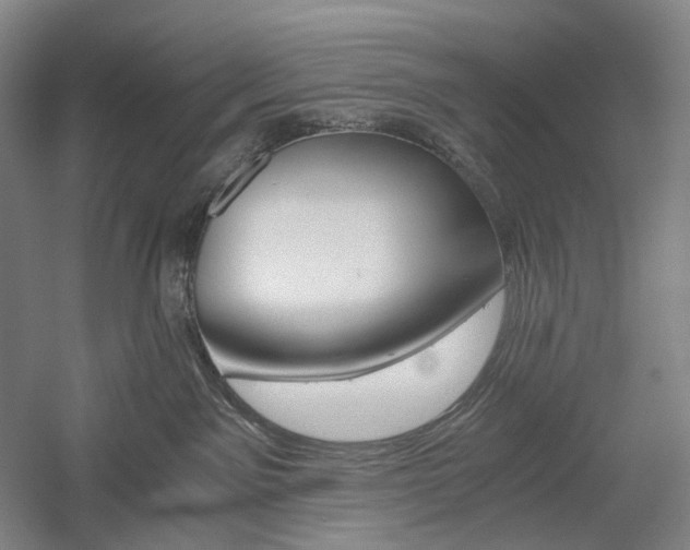 X0000058800141200509301217