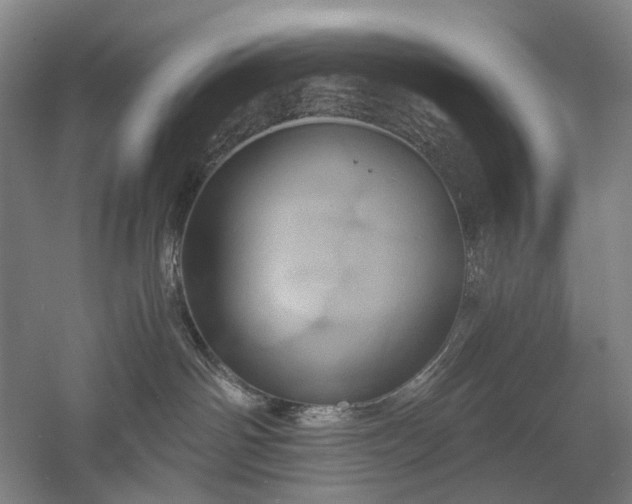 X0000058800142200509301217