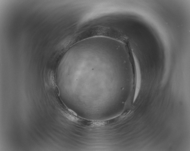 X0000058800143200509301217