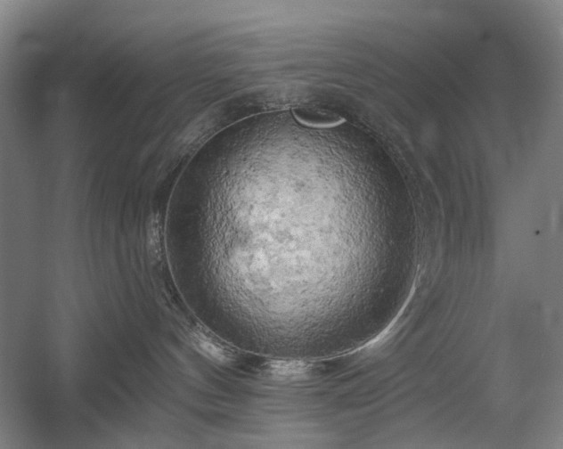 X0000058800144200509301217