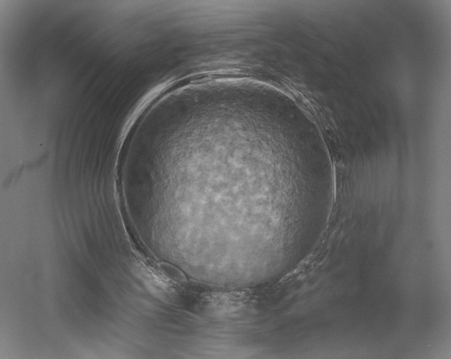 X0000058800147200509301216