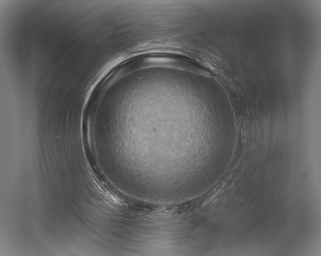 X0000058800148200509301216
