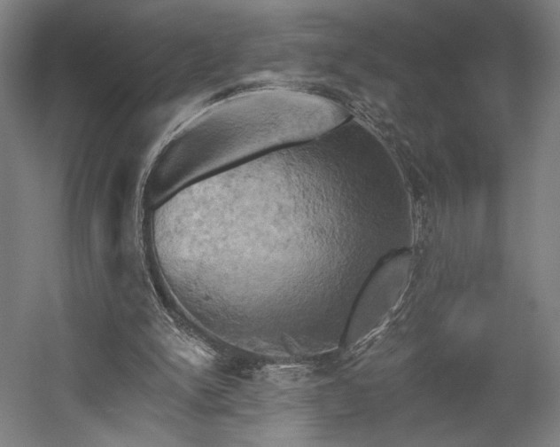 X0000058800150200509301216