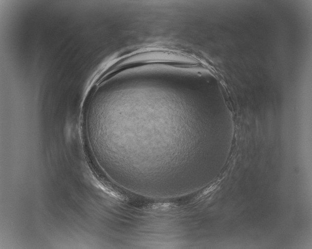 X0000058800152200509301216