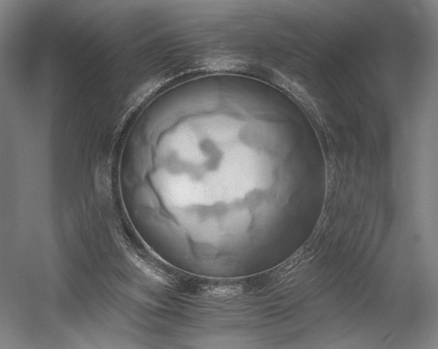 X0000058800155200509301216