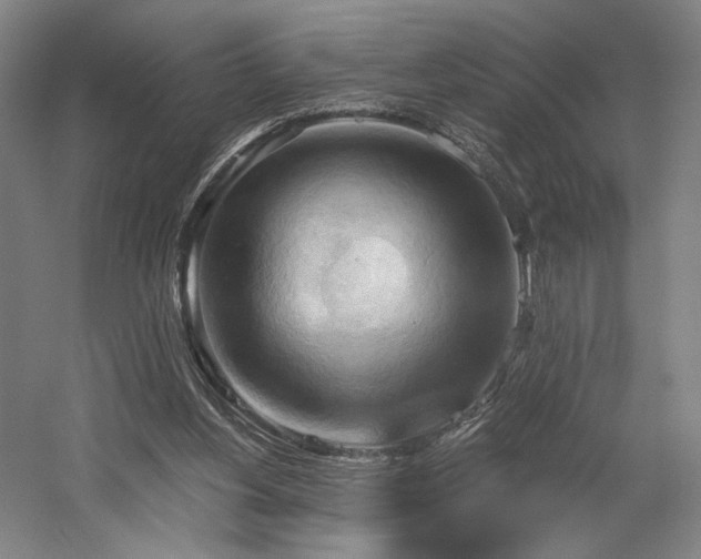 X0000058800156200509301216