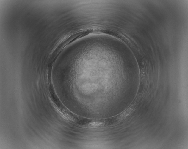 X0000058800158200509301216