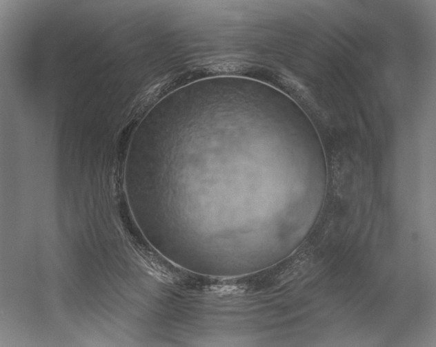 X0000058800161200509301216