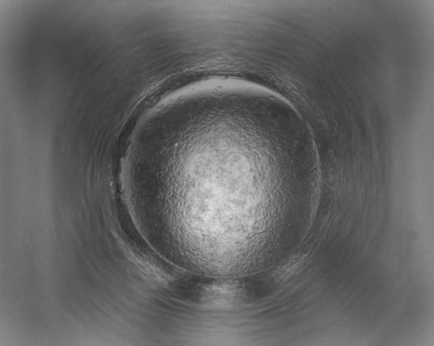 X0000058800164200509301216