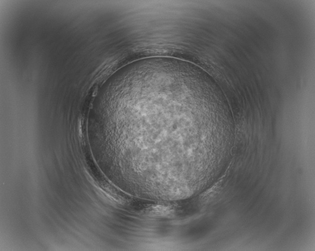 X0000058800166200509301216
