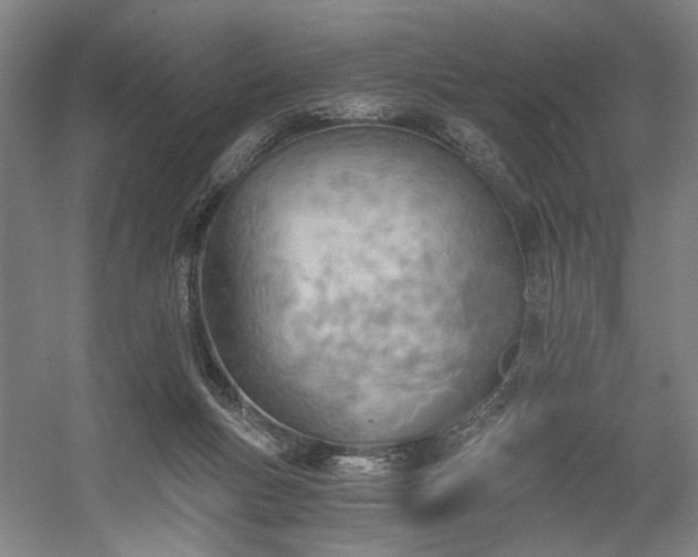 X0000058800167200509301216