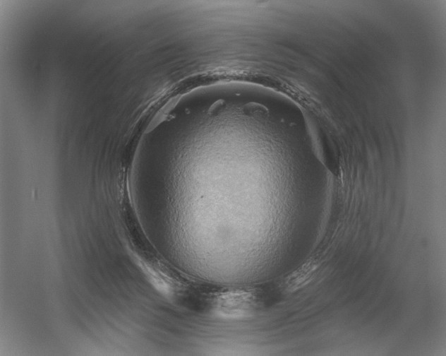 X0000058800168200509301216