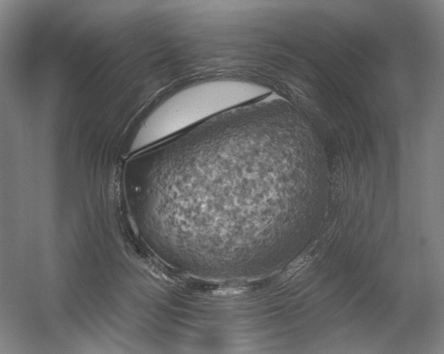 X0000058800172200509301216