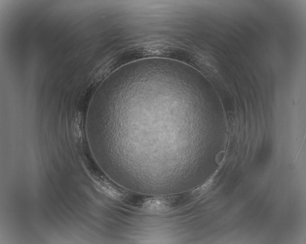 X0000058800174200509301217