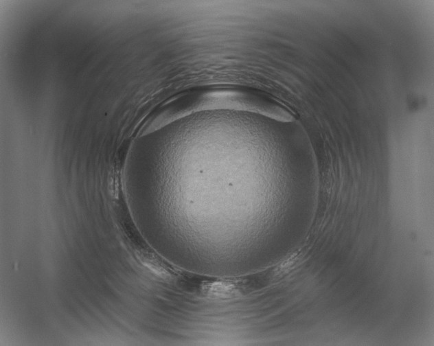 X0000058800180200509301217