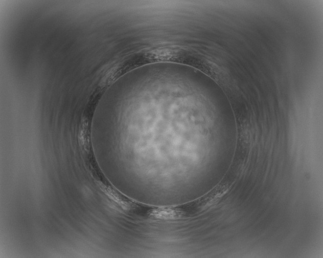 X0000058800181200509301217