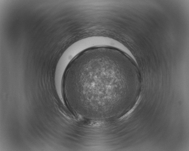 X0000058800186200509301217