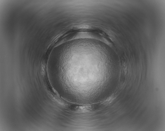 X0000058800188200509301217