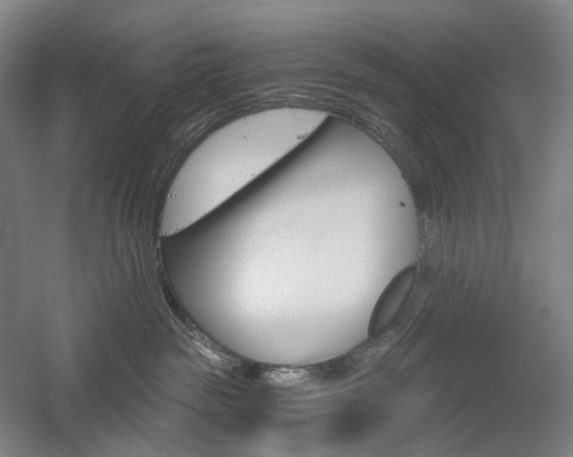 X0000058800189200509301217