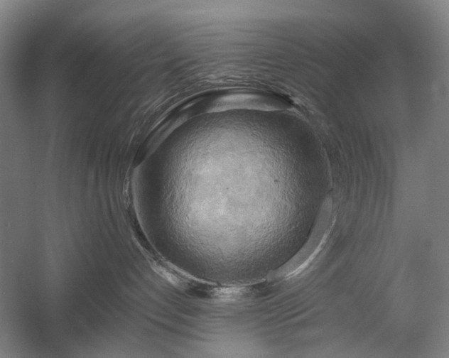 X0000058800192200509301217
