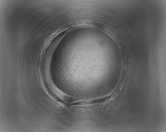 X0000058800193200509301216