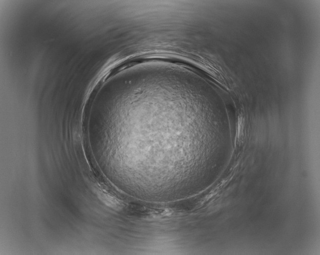 X0000058800195200509301216
