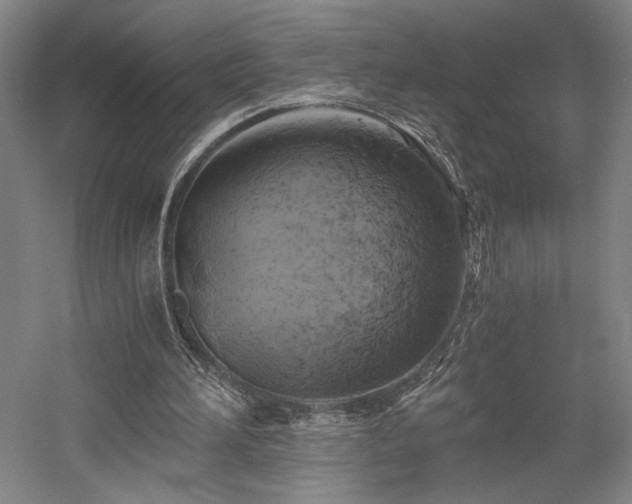 X0000058800196200509301216