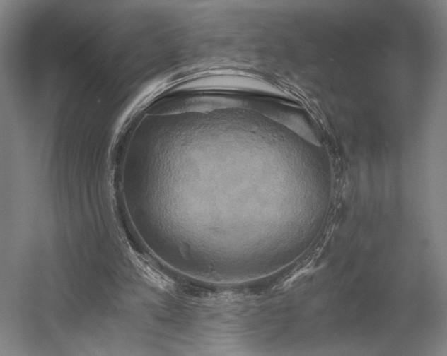 X0000058800197200509301216