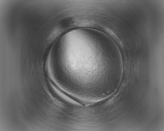 X0000058800201200509301216