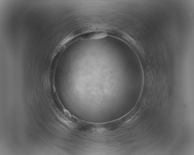 X0000058800203200509301216