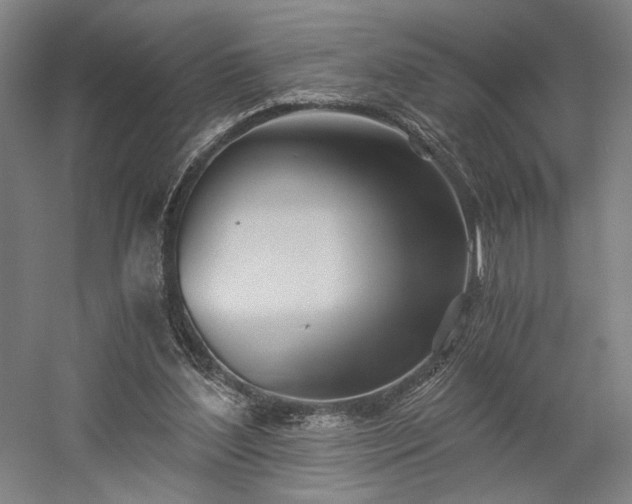 X0000058800204200509301216