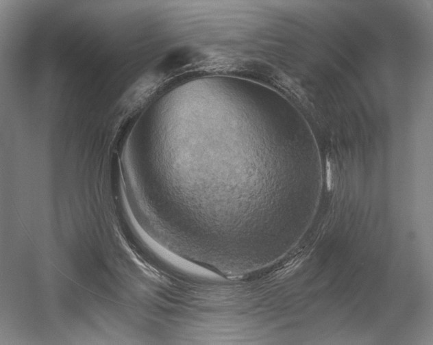 X0000058800205200509301216