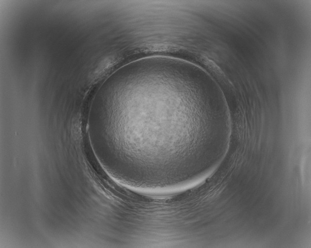 X0000058800207200509301216