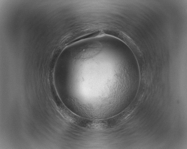 X0000058800209200509301216