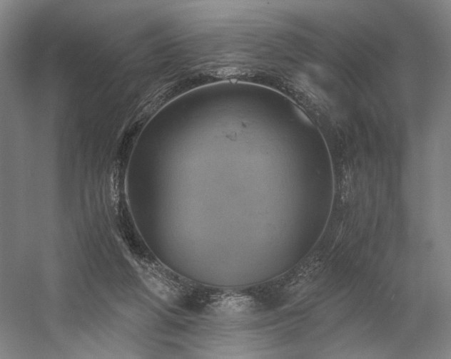 X0000058800210200509301216