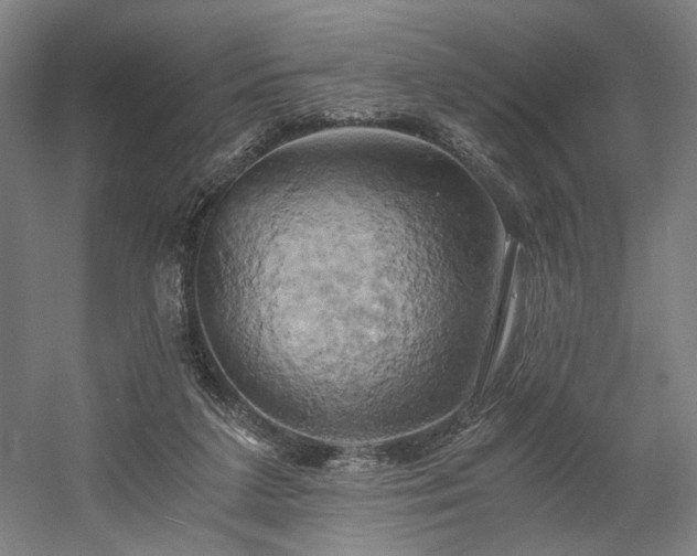X0000058800211200509301216