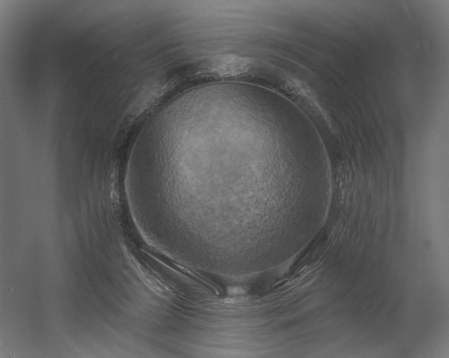 X0000058800212200509301216